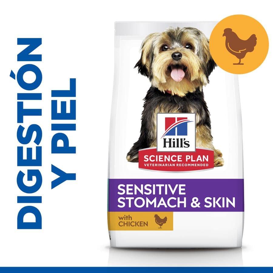 Hill's Small & Mini Science Plan Sensitive Stomach Frango ração para cães, , large image number null